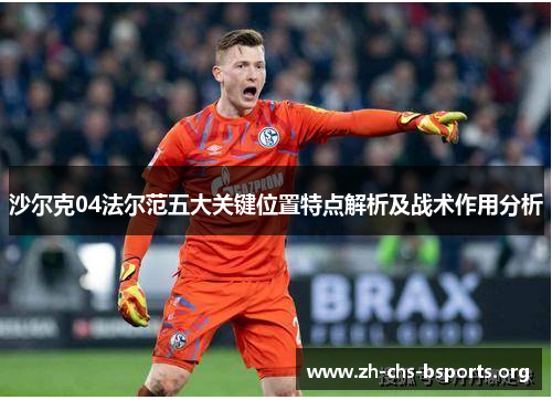 沙尔克04法尔范五大关键位置特点解析及战术作用分析